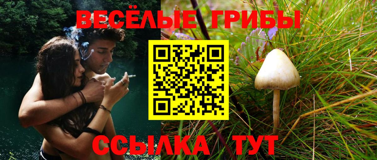 Псилоцибиновые грибы мухоморы Ишим